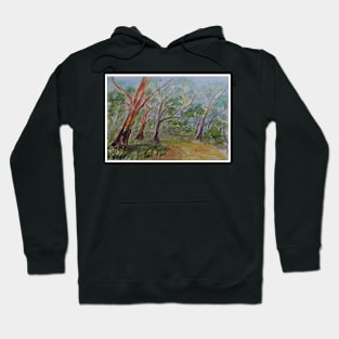 Coloured Gums at Berrara NSW Hoodie